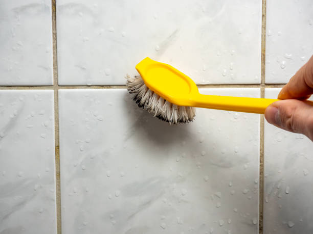 Best Mold Cleaning Services  in Springville, NY